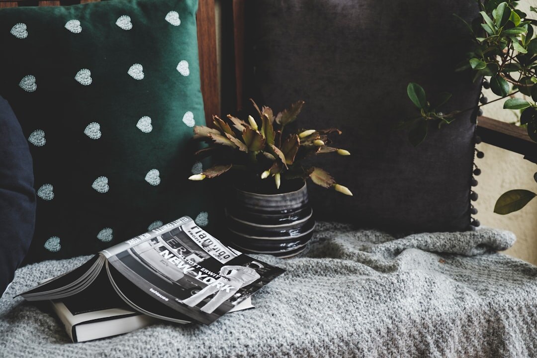 Cozy reading nook with plants and warm lighting